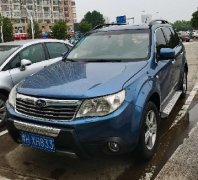 ˹����ɭ����